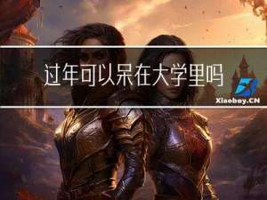 过年可以呆在大学里吗吗