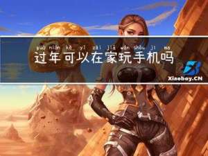 过年可以在家玩手机吗吗
