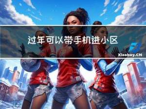 过年可以带手机进小区吗