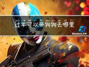 过年可以带狗狗去哪里旅游