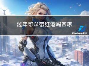 过年可以带红酒吗回家