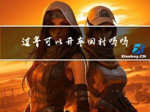过年可以开车回村吗吗