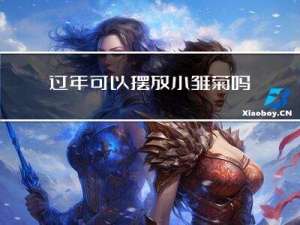 过年可以摆放小雏菊吗