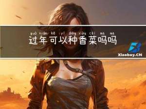 过年可以种香菜吗吗
