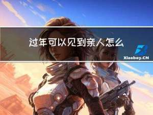 过年可以见到亲人怎么翻译
