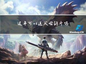 过年可以送父母钙片吗小学