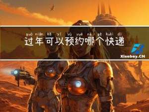 过年可以预约哪个快递吗