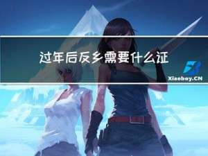 过年后反乡需要什么证件