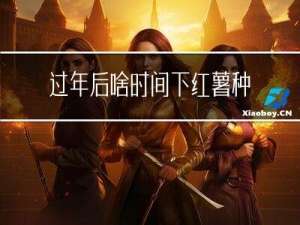 过年后啥时间下红薯种