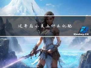 过年后小麦上什么化肥好