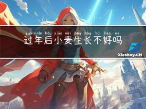 过年后小麦生长不好吗