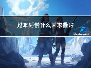 过年后带什么回家最好