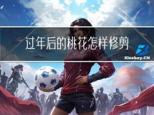 过年后的桃花怎样修剪