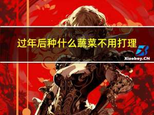 过年后种什么蔬菜不用打理