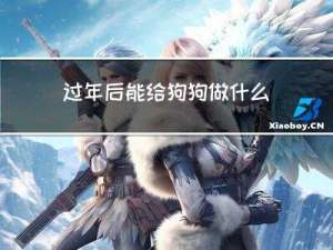 过年后能给狗狗做什么
