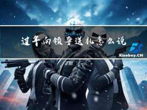 过年向领导送礼怎么说