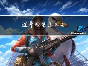 过年吵架怎么办