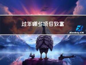 过年哪些项目致富