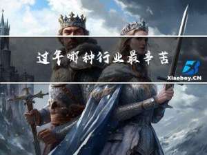 过年哪种行业最辛苦