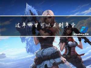 过年哪里可以买到年货清单