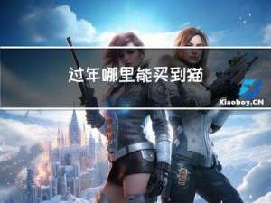 过年哪里能买到猫