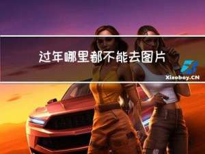 过年哪里都不能去图片