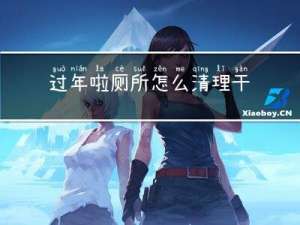 过年啦厕所怎么清理干净