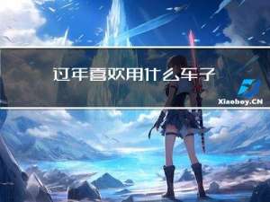 过年喜欢用什么车子