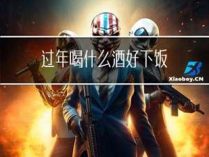 过年喝什么酒好下饭