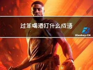 过年喝酒打什么成语
