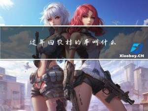 过年回农村的车叫什么