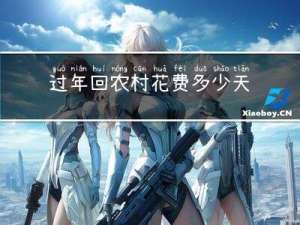 过年回农村花费多少天
