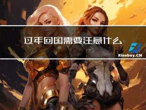 过年回国需要注意什么事项