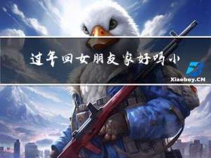 过年回女朋友家好吗小说