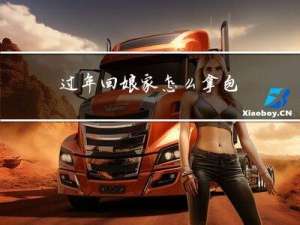 过年回娘家怎么拿包