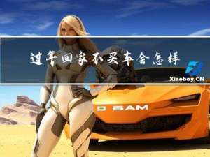 过年回家不买车会怎样的