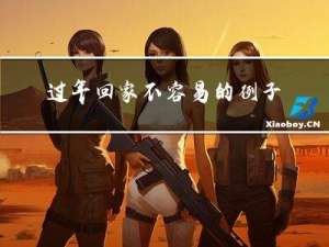 过年回家不容易的例子