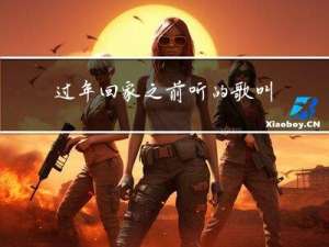 过年回家之前听的歌叫什么
