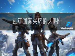 过年回家买房的人叫什么