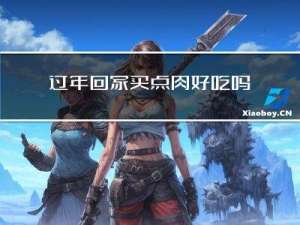 过年回家买点肉好吃吗作文