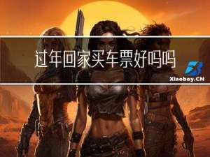 过年回家买车票好吗吗