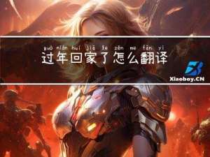 过年回家了怎么翻译