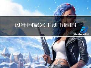 过年回家会主动下厨吗小说