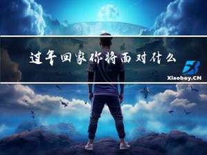 过年回家你将面对什么作文