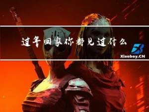 过年回家你都见过什么