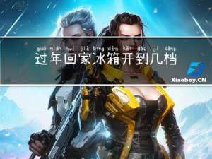 过年回家冰箱开到几档