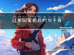 过年回家前后的句子有哪些