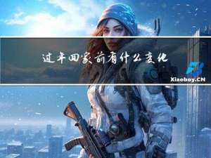 过年回家前有什么变化作文