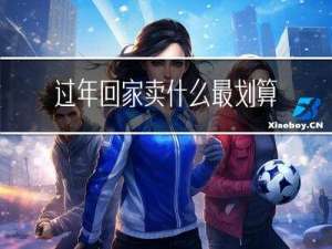 过年回家卖什么最划算