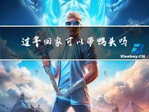 过年回家可以带鸭头吗